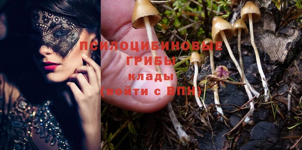 дживик Армянск