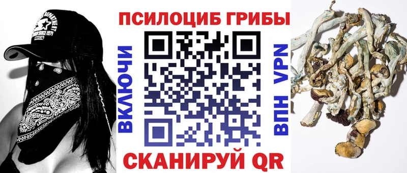 Купить  Мамоново  Псилоцибиновые грибы мицелий 